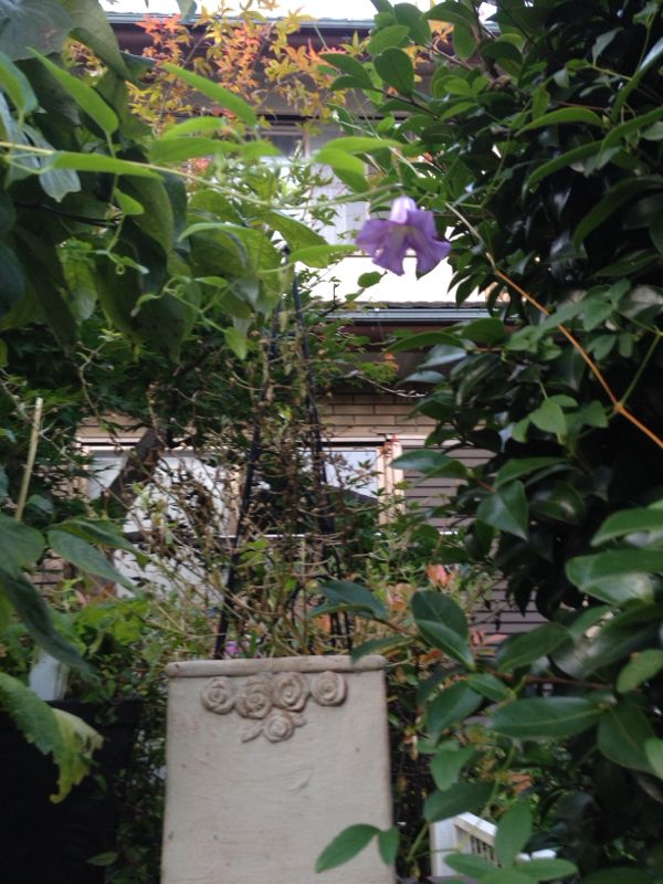 rblog-20140721212529-01.jpg