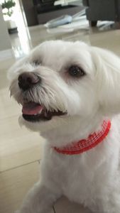 さっぱり２＾＾