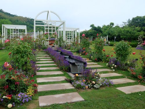 淡路のお花めぐり日記２ ご自宅のお庭のあとはお庭めぐりにお出かけ 奇跡の星の植物館 のローズガーデン 広い敷地の開放感の中でお花がいっぱい カントリーの自宅ｓｈｏｐ テディベアテラス のゆみちゃんの日記 毎日 一歩 一歩 楽天ブログ