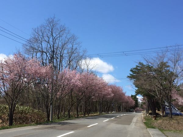 rblog-20170501104425-01.jpg