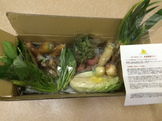 高橋農園野菜セット