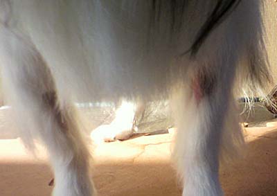 20130917b.jpg