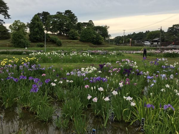 rblog-20160625195825-01.jpg