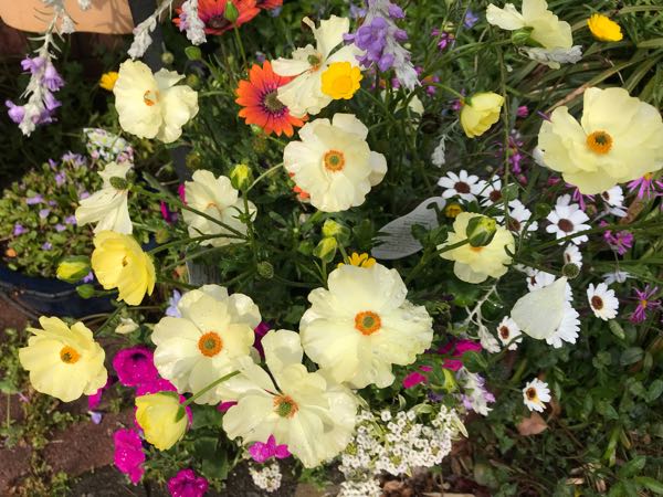 rblog-20190401163305-06.jpg