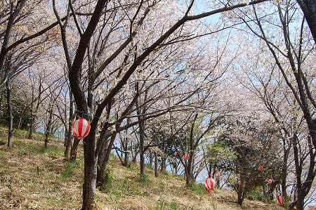 s-DSC_0036.jpg