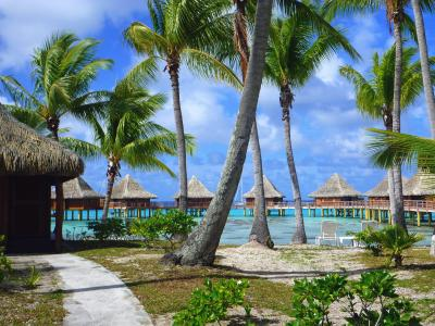 ランギロア環礁写真集から