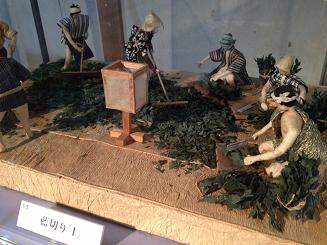 藍切1.JPG