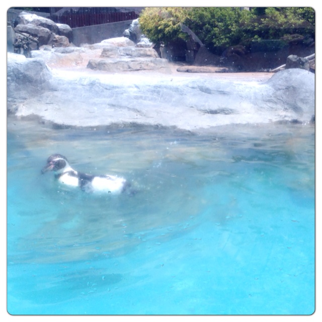 rblog-20130630001944-01.jpg