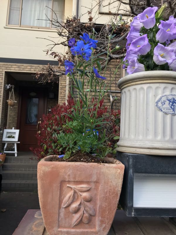 rblog-20190324174614-03.jpg
