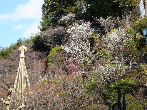 池上梅園