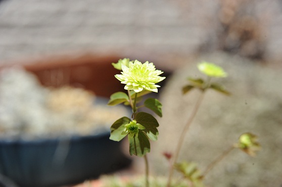 2013.4.26 005.JPG