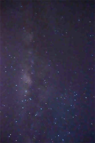 OZ334.jpg