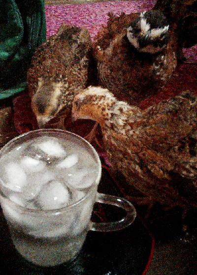 20150721(2)