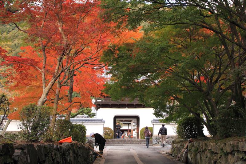 興聖寺_006.jpg