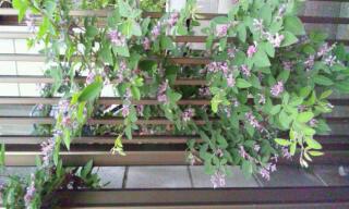 20120626_090628.jpg