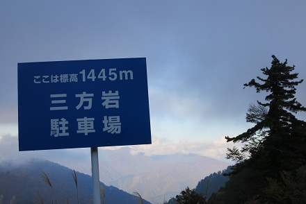 IMG_7984.jpg