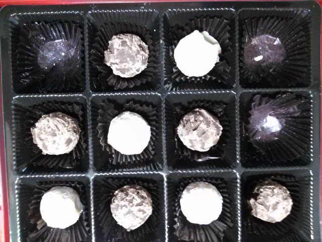 IMG00031.jpg