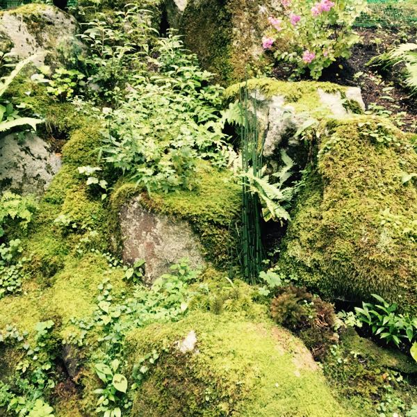 rblog-20160815092507-03.jpg