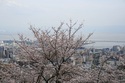 IMG_7249.jpg