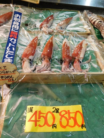 DSCN1992.JPG