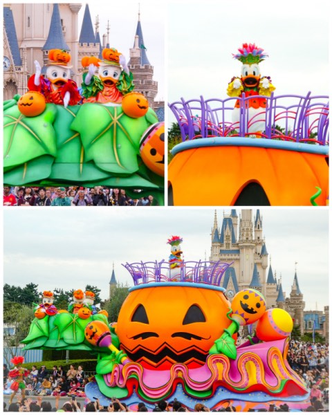CollageMaker_20171001_204953648.jpg