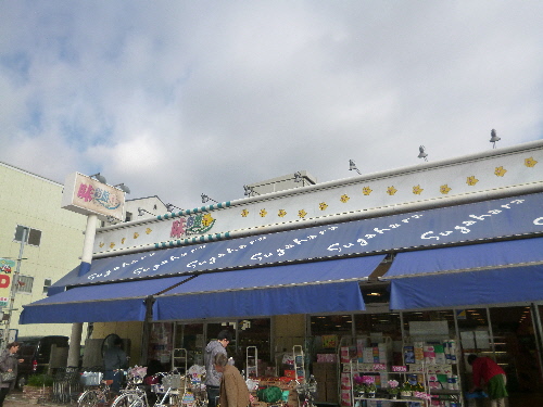 P1080374(1).JPG