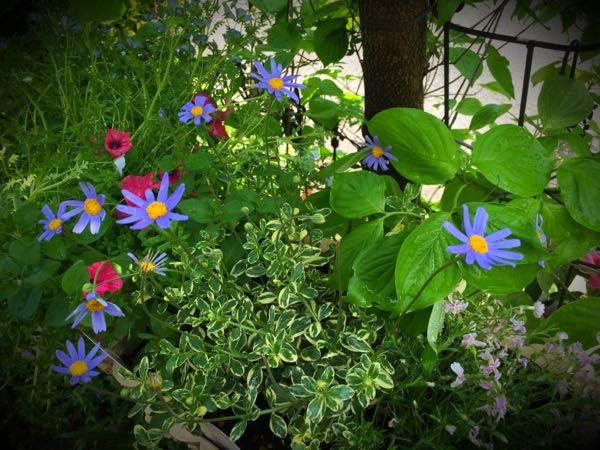 rblog-20160430165450-02.jpg
