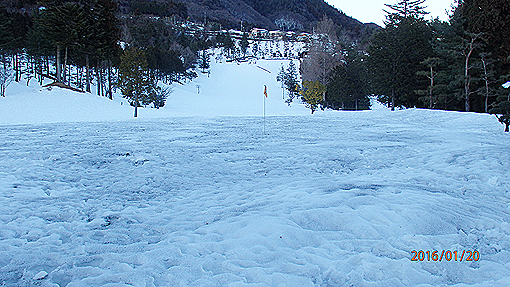 P1202417h2.jpg