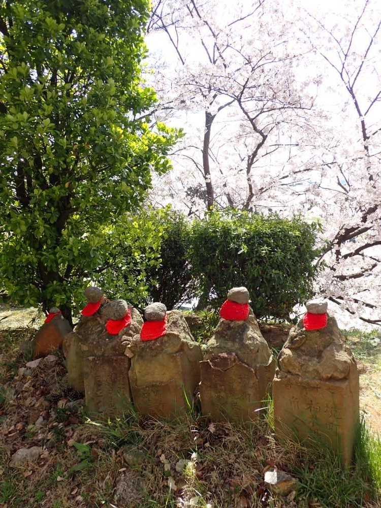 今日のアーカイブ 桜now葛西 東方見雲録 楽天ブログ