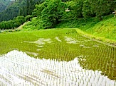 IMG_2580.JPG