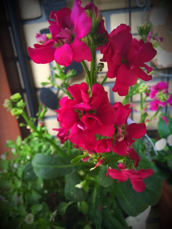 rblog-20160427175718-09.jpg