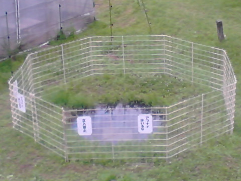 左に落とし穴的水たまり