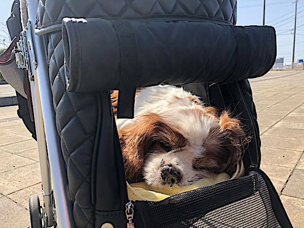 rblog-20180413073124-01.jpg