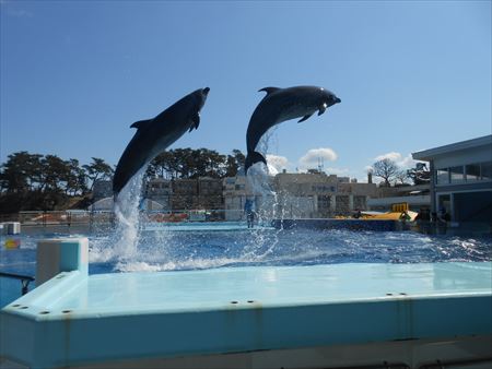 越前松島水族館