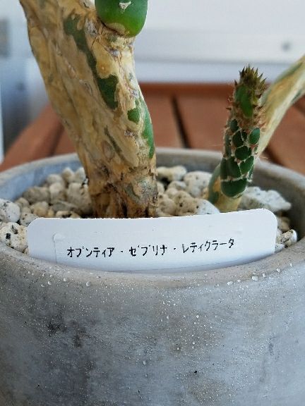 rblog-20180828115230-01.jpg