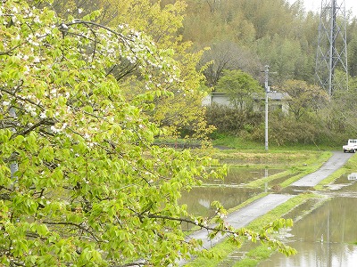 DSCN8519.jpg