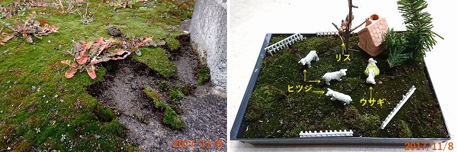 １１／８とりあえず.jpg