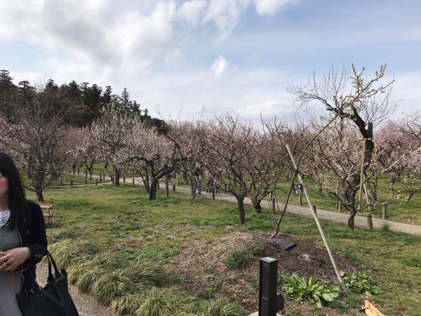 rblog-20180324181655-04.jpg
