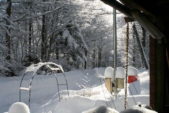 20130216今年は大雪no2.jpg