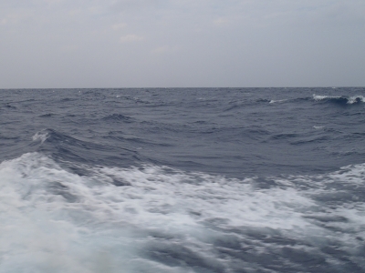 沖縄深海魚採集2012年12月9　海