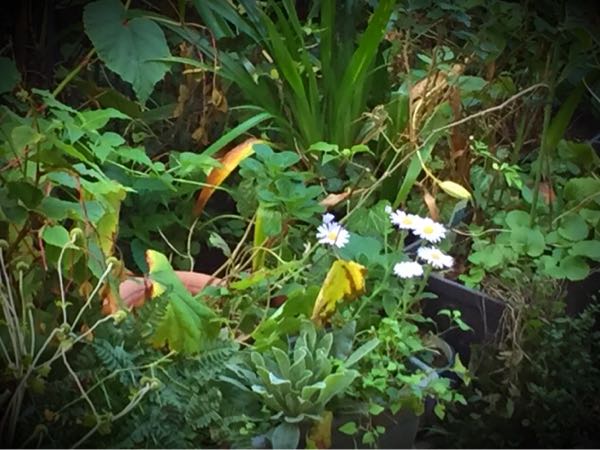 rblog-20151028185151-02.jpg