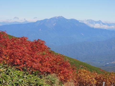 DSCN5982s.jpg