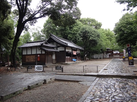 DSC09085.JPG
