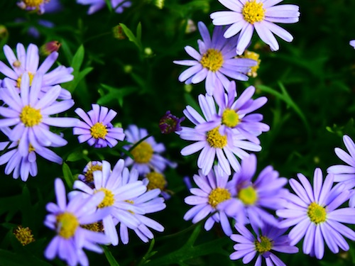 PA071034.JPG