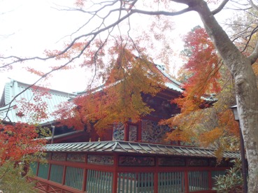 高４