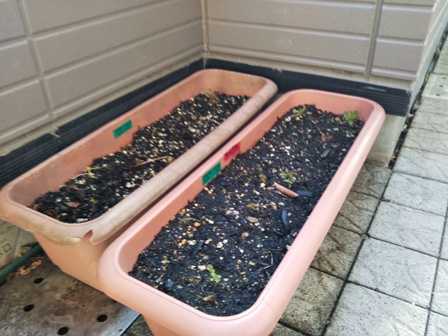 プランターの 土づくり ほっこり家庭菜園 楽天ブログ プランターの 土づくり ほっこり家庭菜園 楽天ブログ