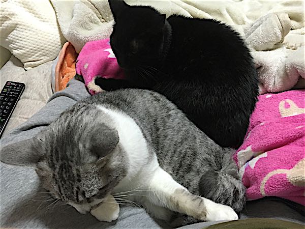 rblog-20171231233510-02.jpg