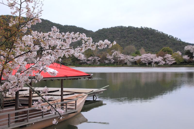 大覚寺大沢_003.jpg