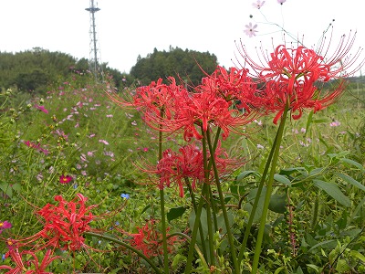 DSCN0220.jpg