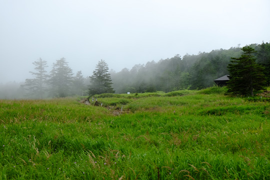 2015 08 10霧0220.jpg